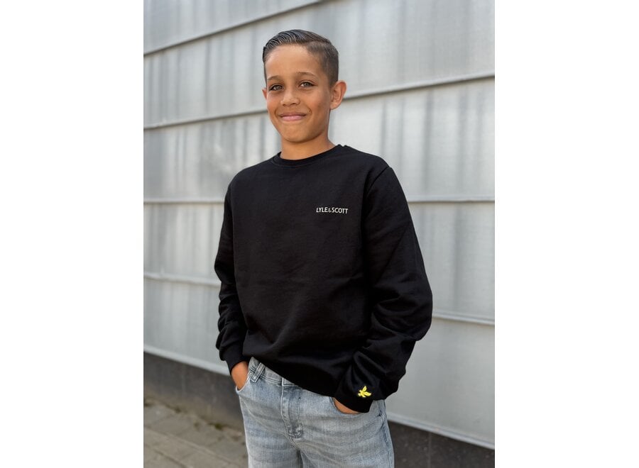 Logo Print Crew Neck  Jet Black Jongens  Trui