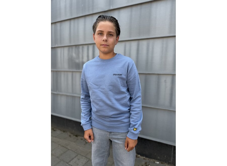 Logo Print Crew Neck  Power Blue Jongens  Trui