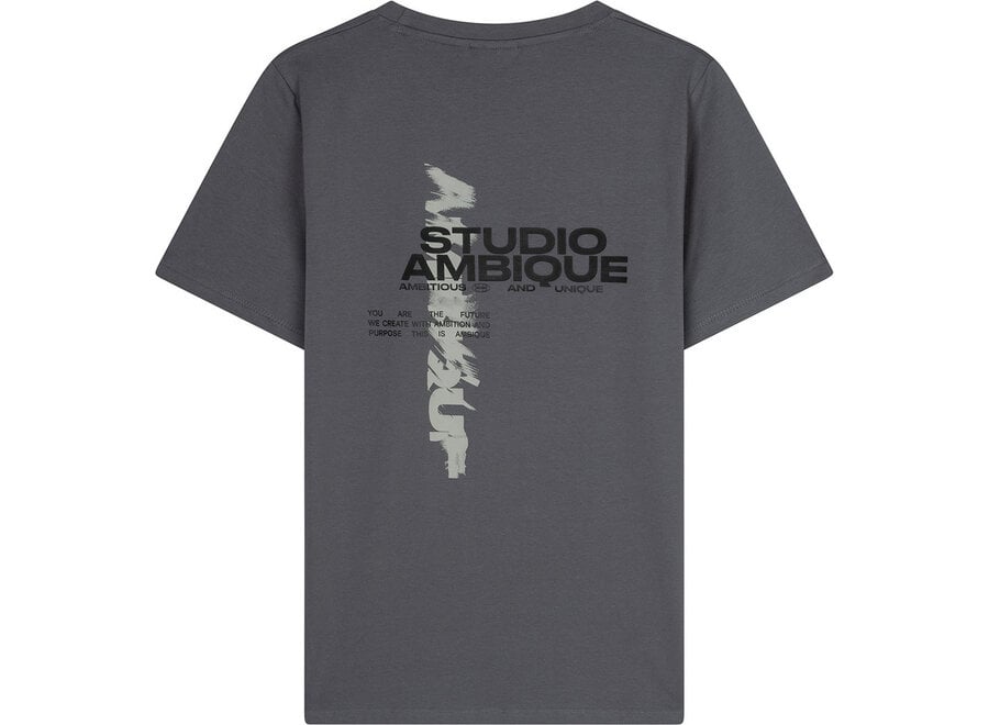 Ace  Stone Grey Jongens T-shirt