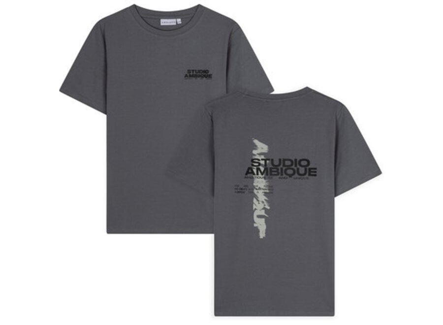 Ace  Stone Grey Jongens T-shirt