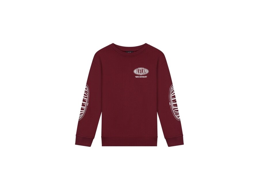 Malelions Junior Relaxed Lifestyle Sweater  Burgundy Jongens  Trui