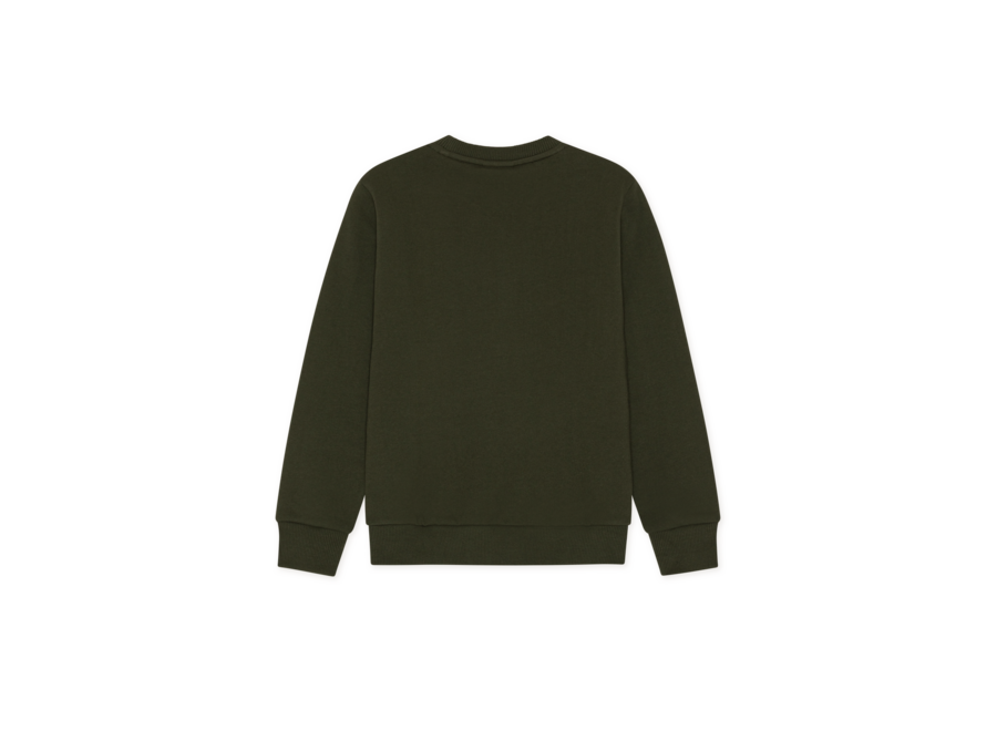 College Sweatshirt KIDS Rosin Green Jongens Trui