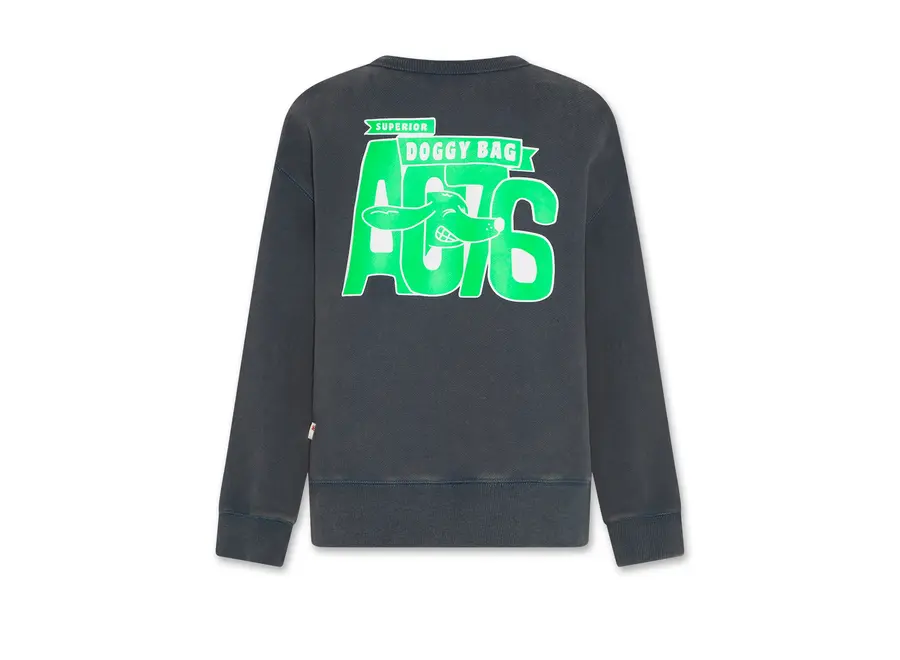 Oscar Sweater Doggy   Dark Slate Jongens Trui