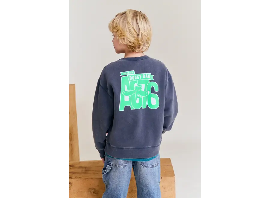 Oscar Sweater Doggy   Dark Slate Jongens Trui