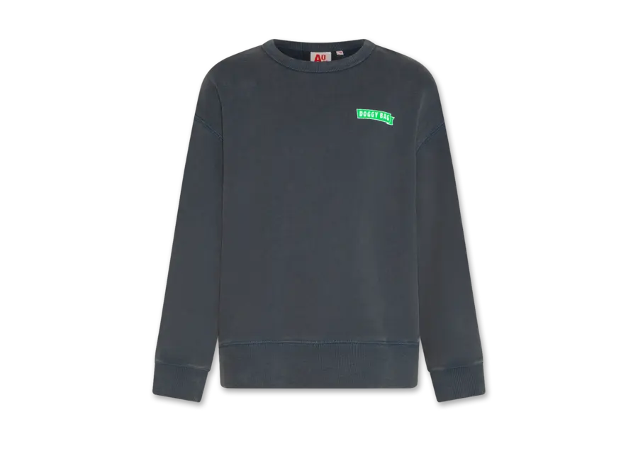 Oscar Sweater Doggy   Dark Slate Jongens Trui