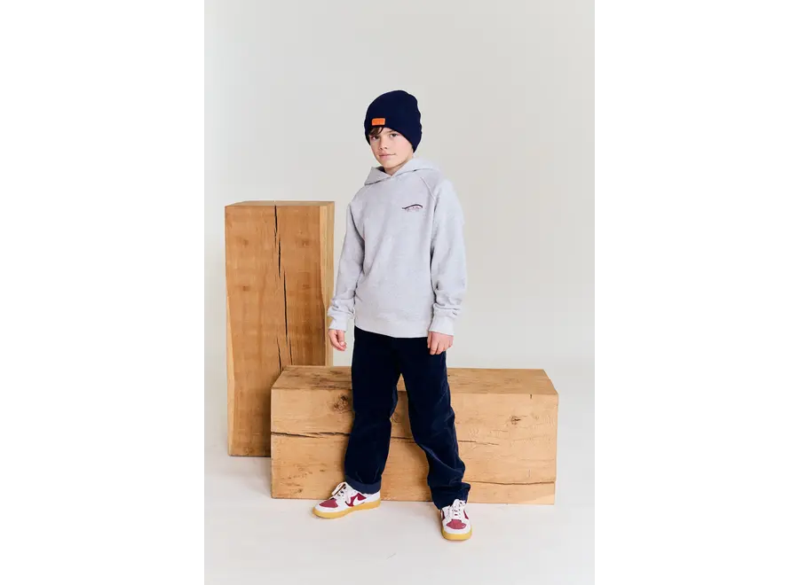 Lenny Hoodie Crew   Grey Melange Jongens Hoodie