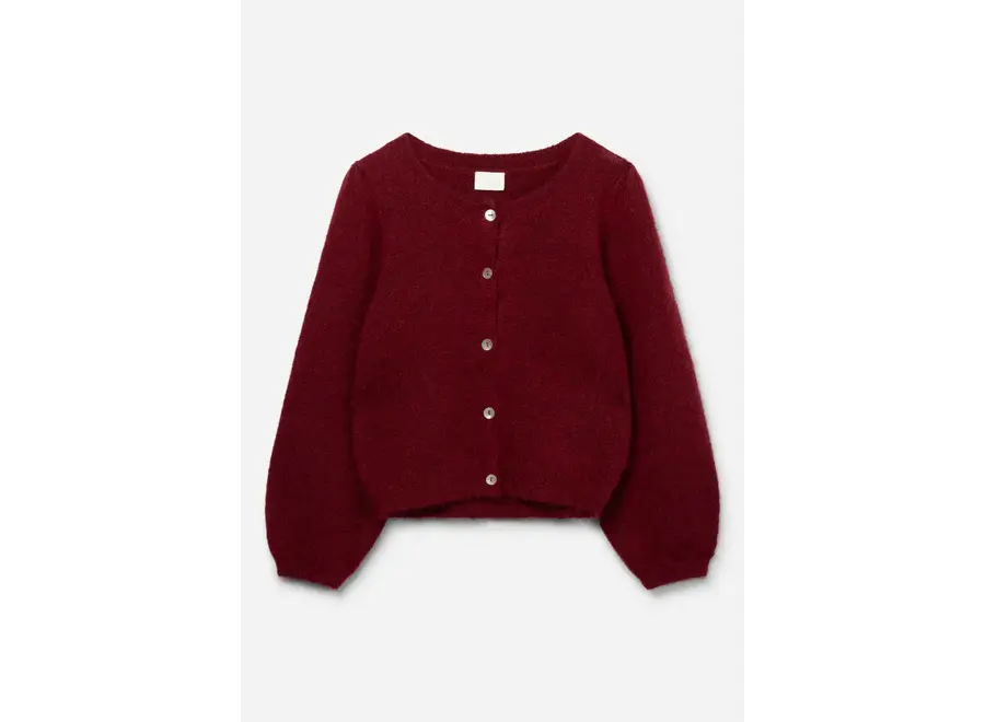 Jady Wp 350 G  Merlot Meisjes  Vest