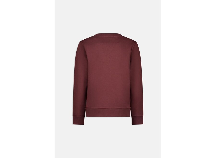 Basic Sweater  Bitter Chocolate\White Jongens Trui