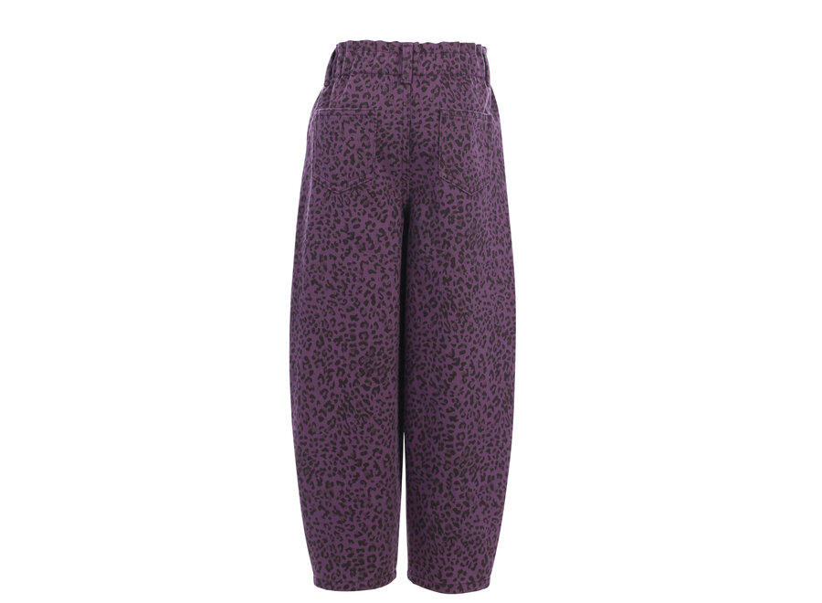 Little Leopard  Jeans Purple Leopard Meisjes Jeans