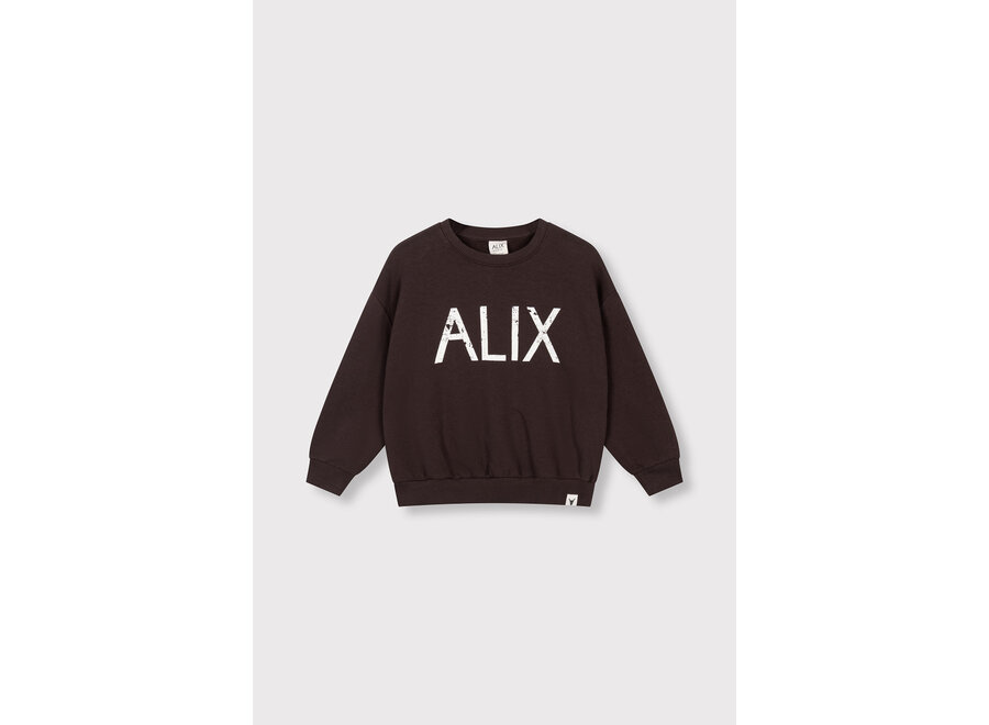Kids Knitted World Tour Sweater  Warm Brown Meisjes  Trui