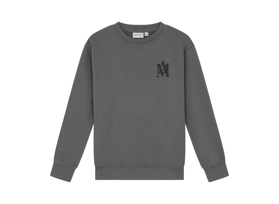 Aaron Crew Neck  Stone Grey Jongens Trui