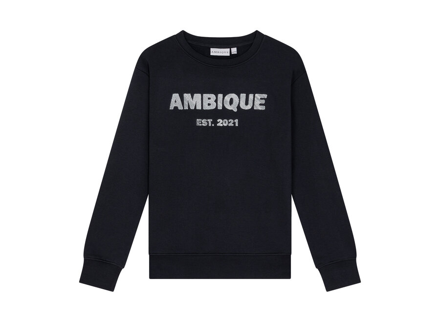 Tailor Crew Neck  Navy Jongens Trui