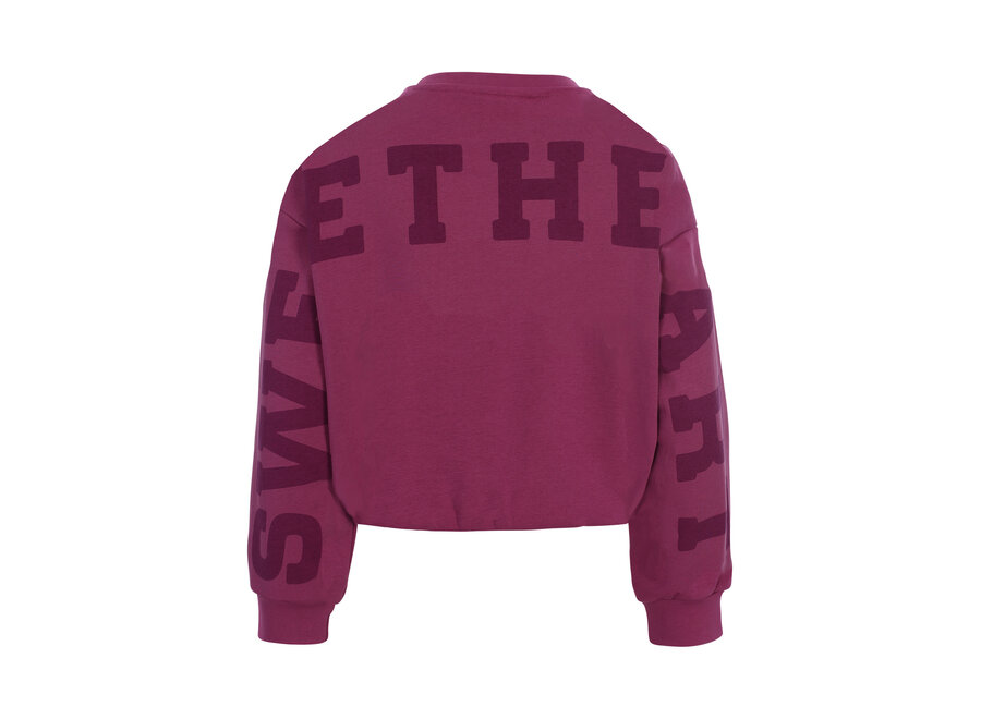 Little Balloon Sweater  Dark Violet Meisjes Trui