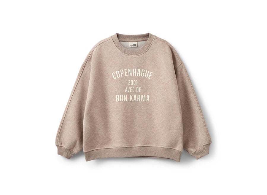 Elinsy Sweatshirt  Brown Melange Meisjes Trui