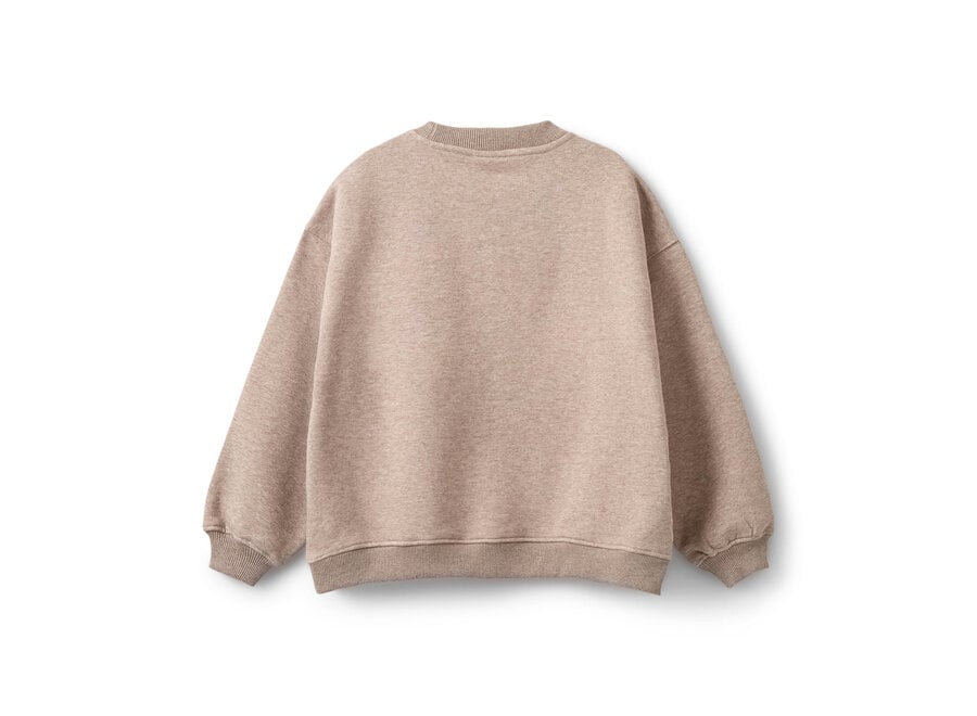 Elinsy Sweatshirt  Brown Melange Meisjes Trui