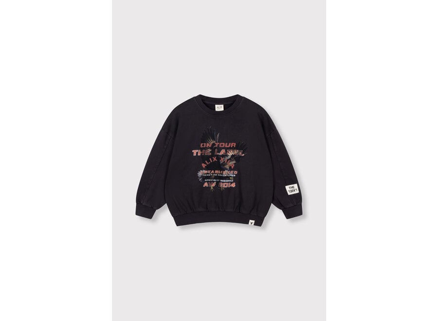 Kids Knitted Eagle Sweater  Charcoal Grey Unisex Trui