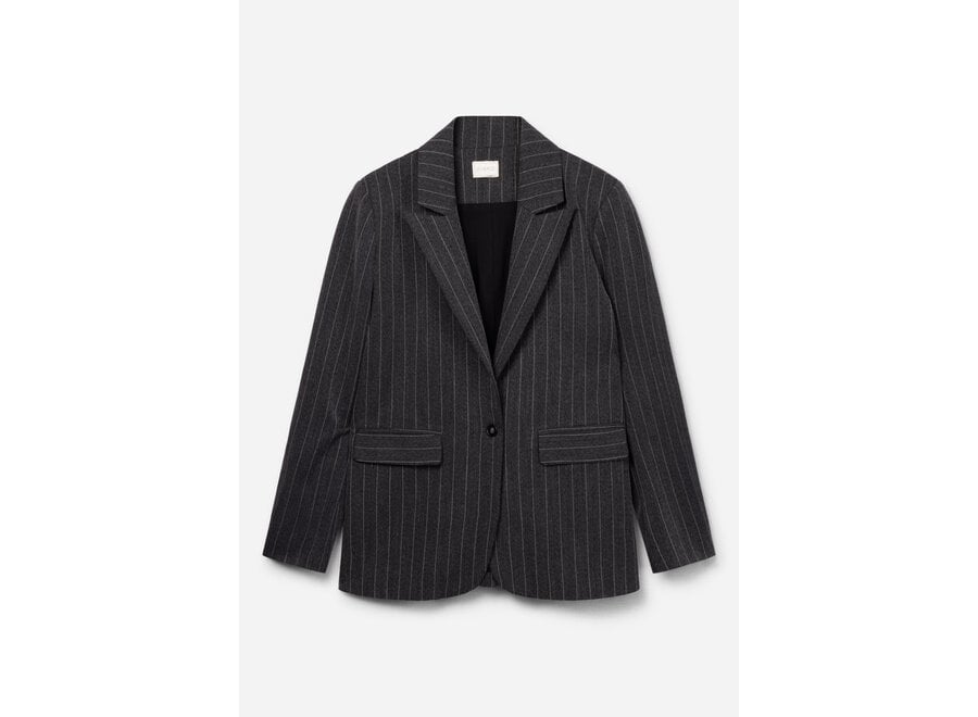 Kendal Pinstripe Vis 540 G  Antra Grey  Meisjes Blazer