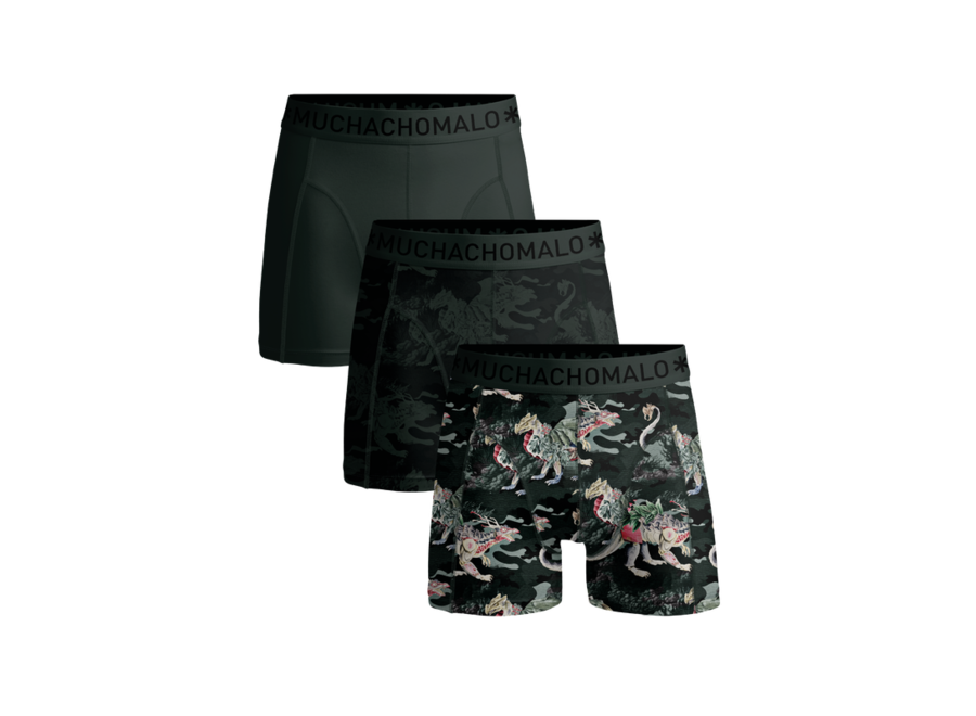 Boys 3-Pack Boxer Shorts Print/Print/Solid Print/Print/Black  HIDDENDRAGONS Jongens Boxershorts