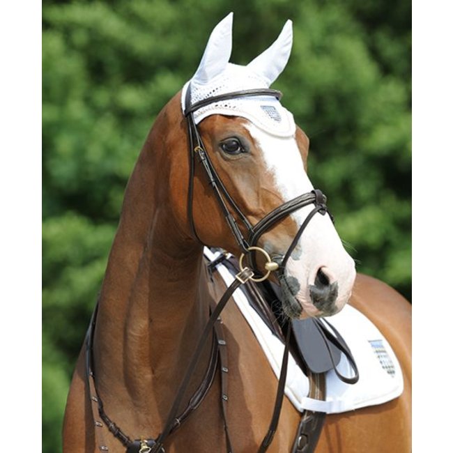 Passier Voortuig Marcus ehning