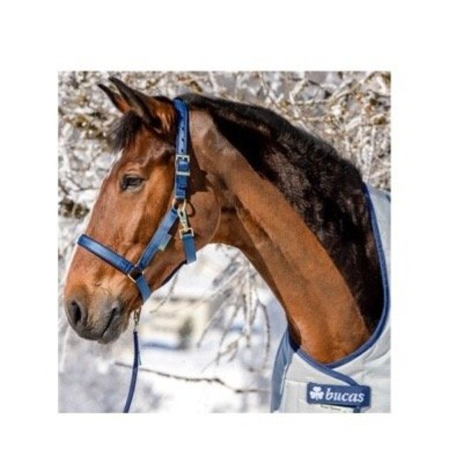 Bucas Halster Bucas Dublin