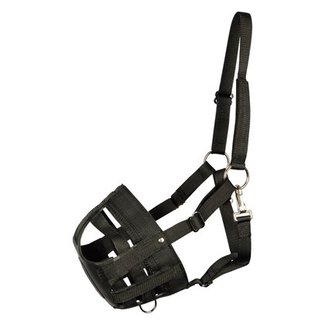 Harry's Horse Grazing muzzle Air