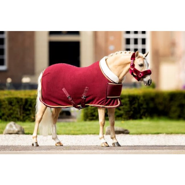 Showtime Fleecedeken Polar 400 Dutch Crown