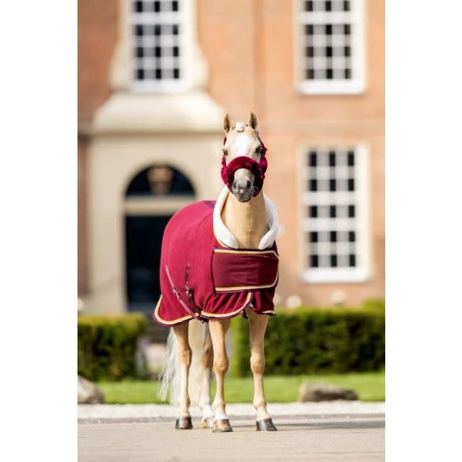 Fleecedeken Polar 400 Dutch Crown