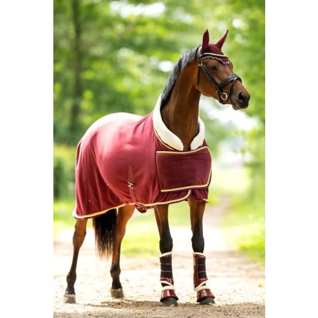 Fleecedeken Polar 400 Dutch Crown