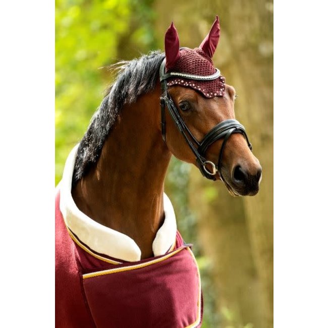 Fleecedeken Polar 400 Dutch Crown