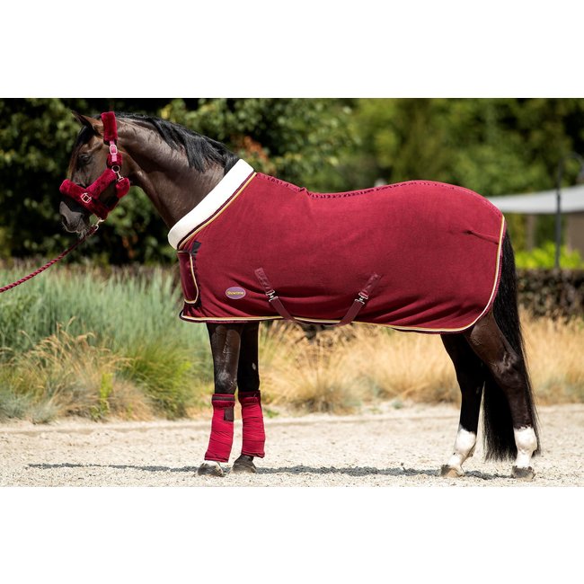 Fleecedeken Polar 400 Dutch Crown