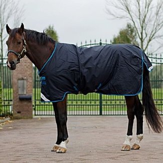 Horseware Bravo 12 Turnout 100g Horseware Bravo 12 Turnout 100g