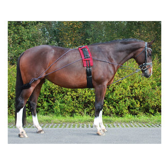 Qhp Pessoa Longeerteugel