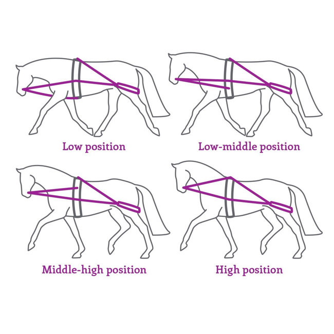 Qhp Pessoa Longeerteugel