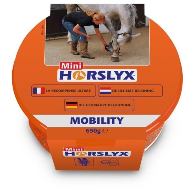 Horslyx Balancer Mini