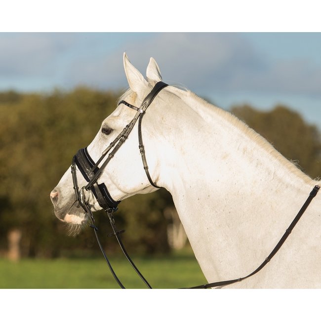 Qhp Neus onderlegger