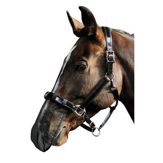 Harry's Horse Neusnetje