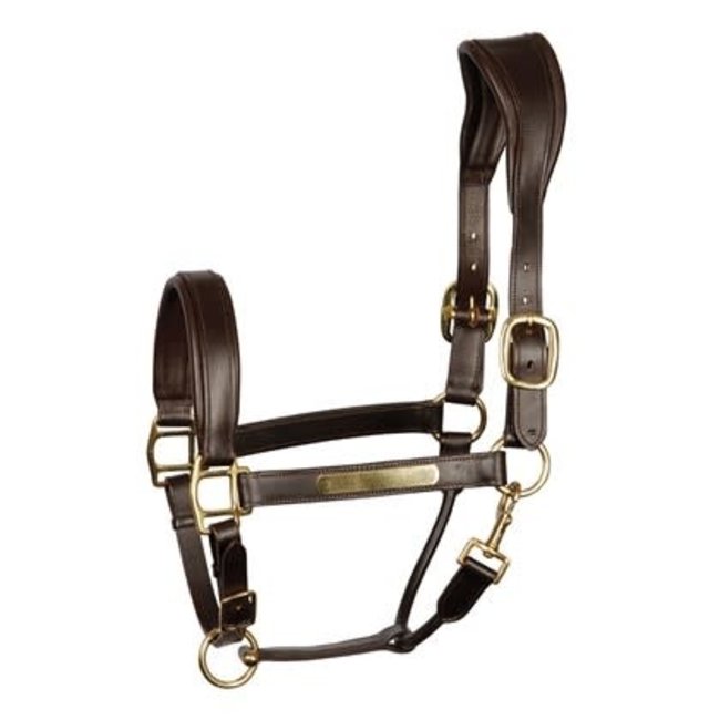 Harry's Horse Halster anatomic