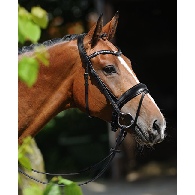 Passier Hoofdstel Atlas