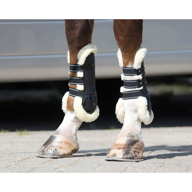 Qhp Peesbeschermers Ontario