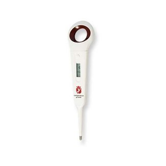 Safehorse Thermometer digitaal