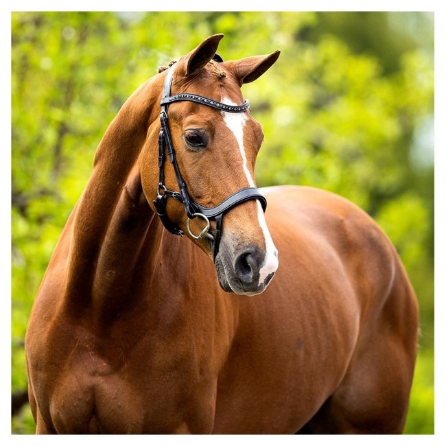 BR Hoofdstel Mirfield