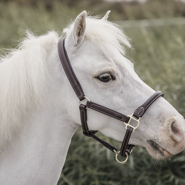 kentucky Halster leer met sheepskin