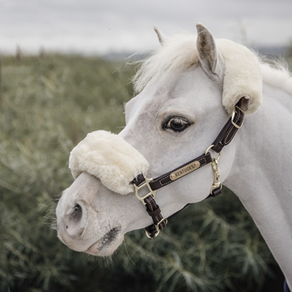 kentucky Halster leer met sheepskin