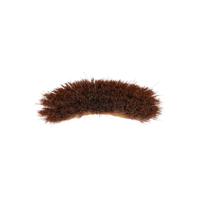 kentucky Middle  Borstel  Medium