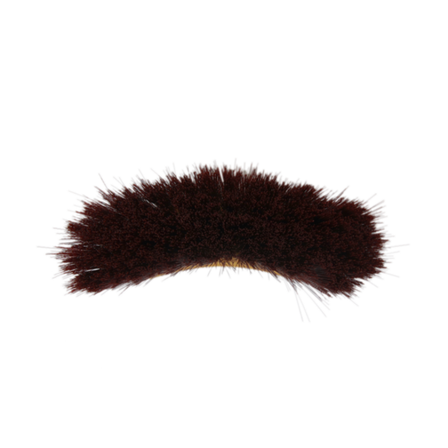 kentucky middle Borstel  Long