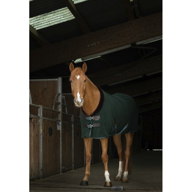 Equi-Theme Polar Fleece deken Teddy