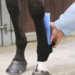 kentucky Tendon Grip Kous