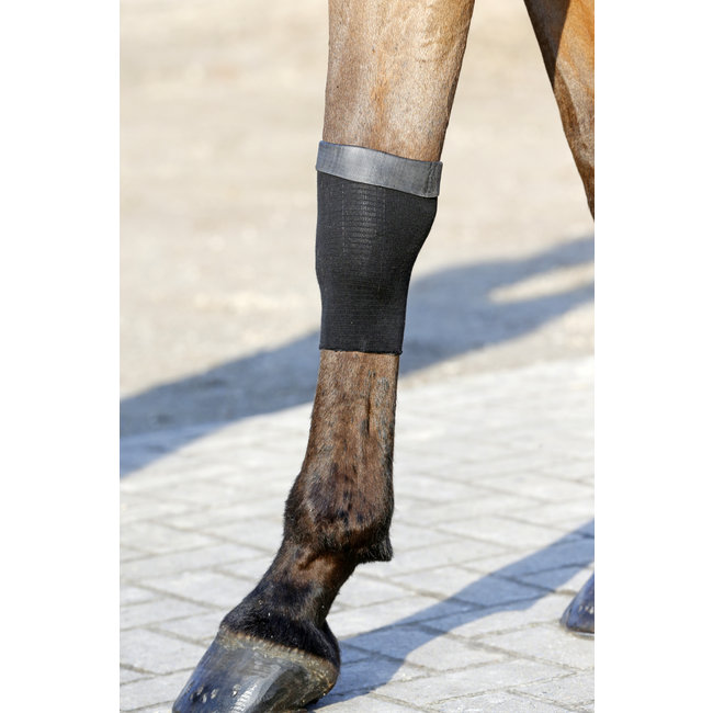 kentucky Tendon Grip Kous