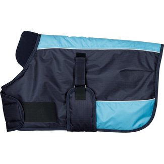 Harry's Horse Veulen deken 65 cm Harry's Horse Veulen deken 65 cm