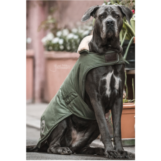 kentucky Hondenjas Waterproof 300g